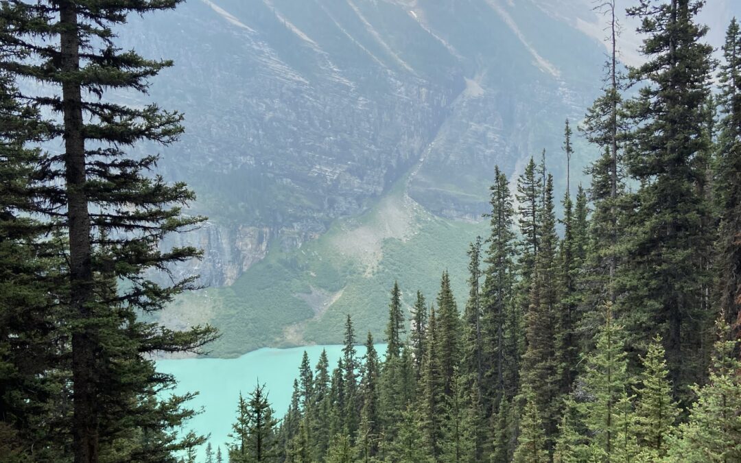 Discovering Alberta