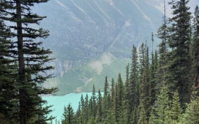 Discovering Alberta